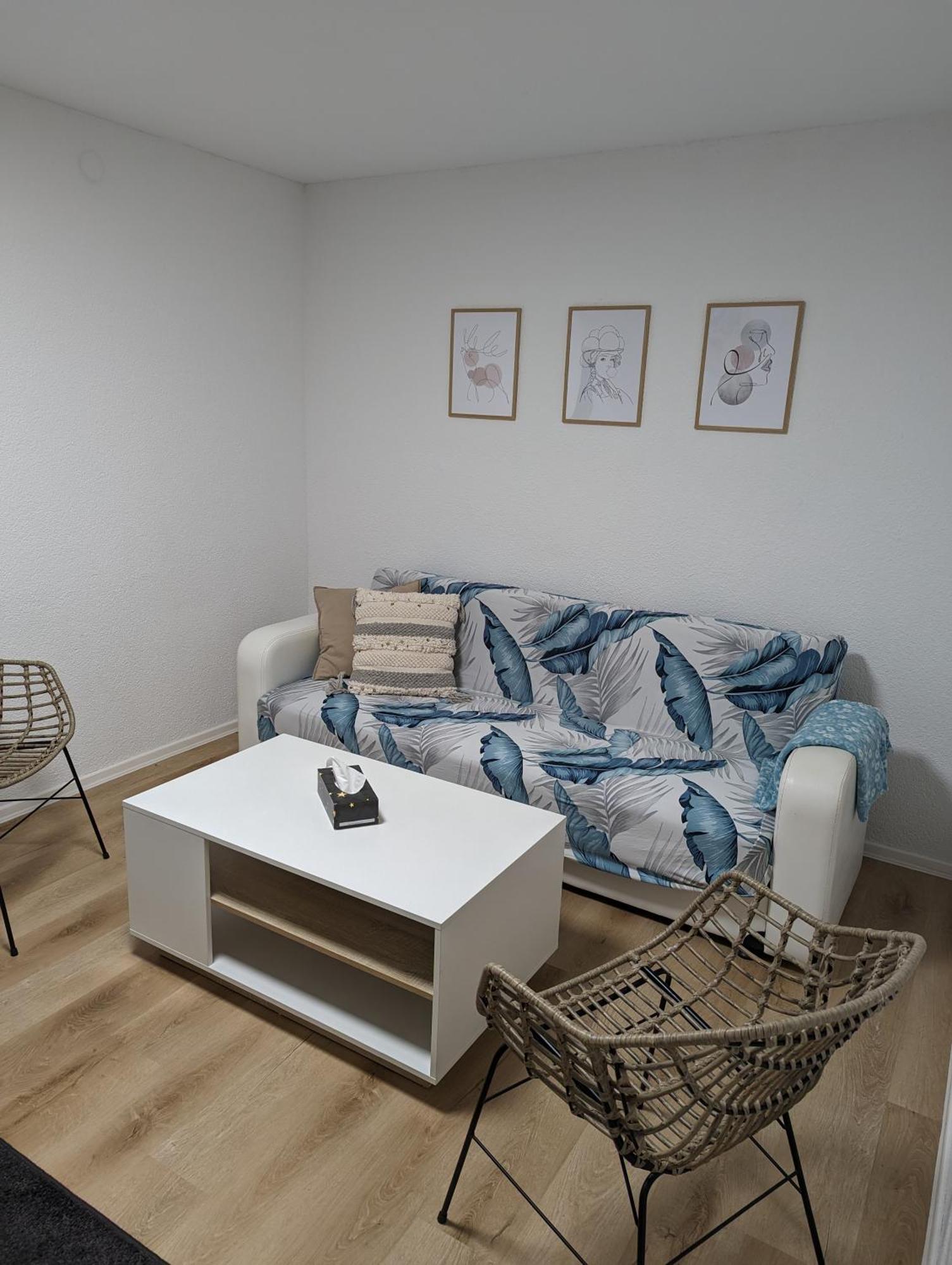 Nahe Europa Park Apartment Lahr (Baden-Wurttemberg)